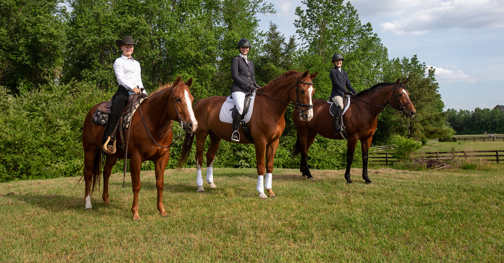 Three horses with their riders posing in grassy area